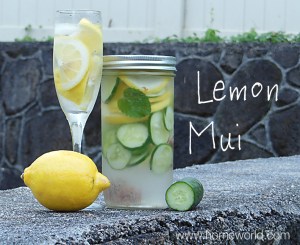 lemonmui