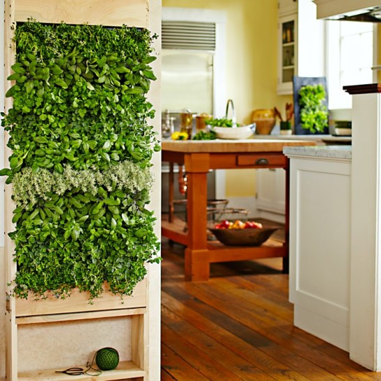 http://www.williams-sonoma.com/products/free-standing-vertical-wall-garden/