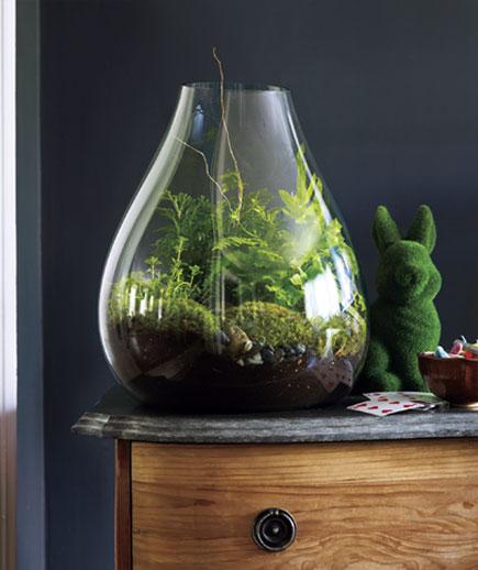 terrarium-rabbit_gal