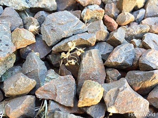 Close-up of the effects of the boiling water.
