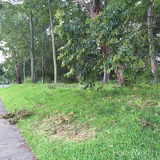 Ravine off the sidewalk